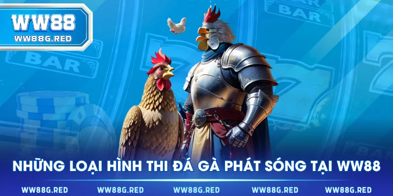 Những loại hình thi đá gà phát sóng tại WW88